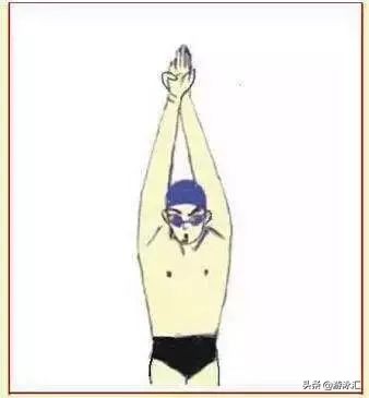 蛙泳怎样才游得又快又好,蛙泳怎样游得又标准又快