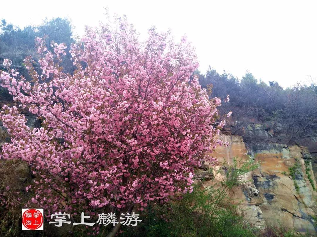 麟游旅游攻略一日游,宝鸡五一游攻略