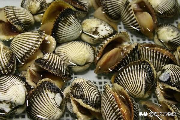 87年上海甲肝流行原因,上海毛蚶体内的甲肝病毒来源