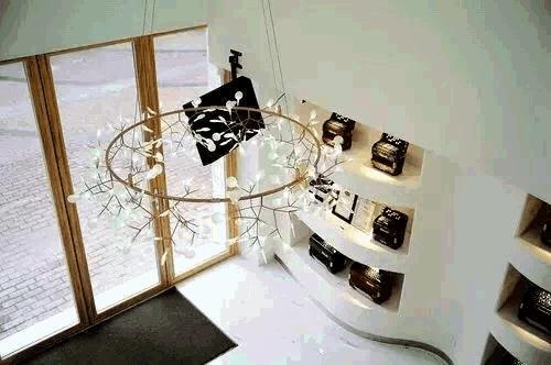 小长假捧回*荣大**誉！武侯这群小学生不得了