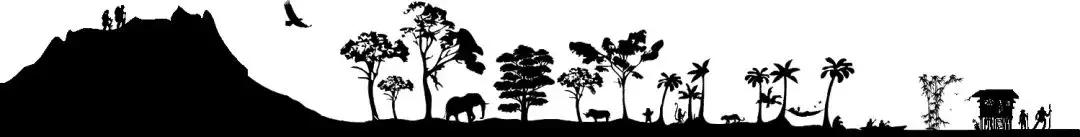 超轻|几款UL玩家喜欢的新款小众装备