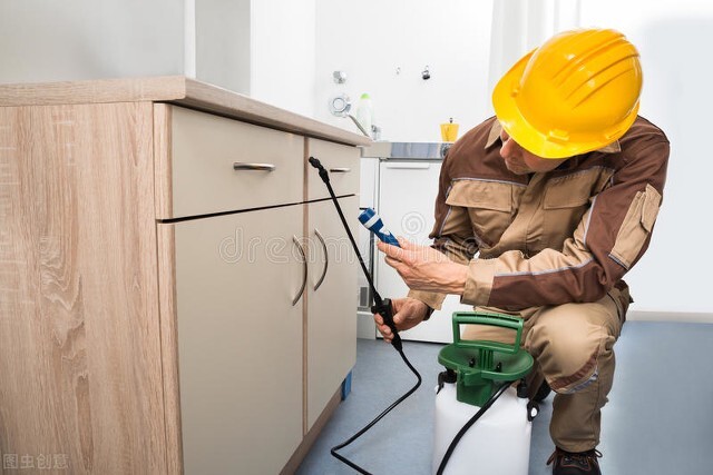 白蚁防治证书,白蚁防治工证书怎么办理