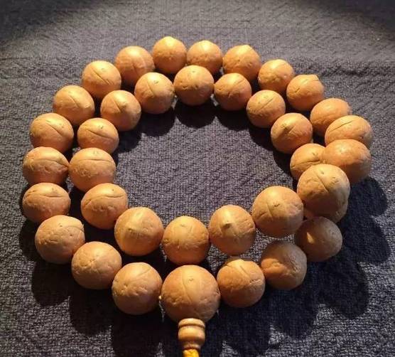 凤眼菩提的眼睛,尼泊尔凤眼菩提眼睛都是凸起来的