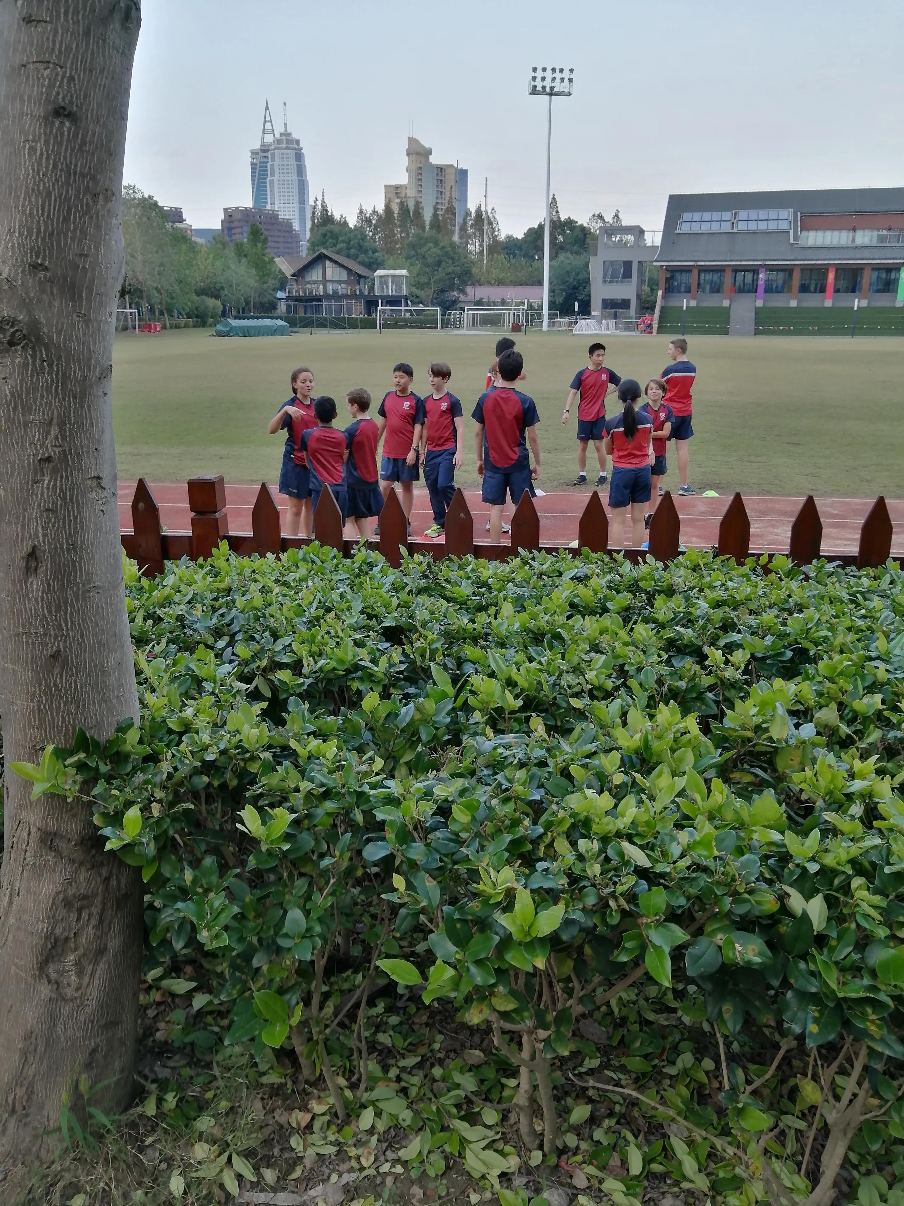 三亚vs西双版纳哪个好,三亚和夏威夷哪个好