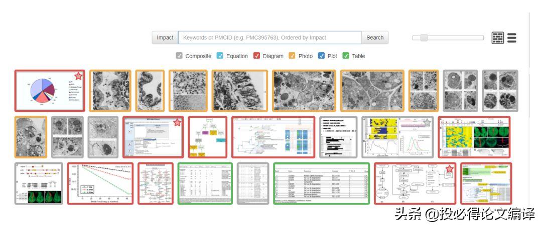 文献检索工具主要有以下几种类型,文献检索的搜索技巧