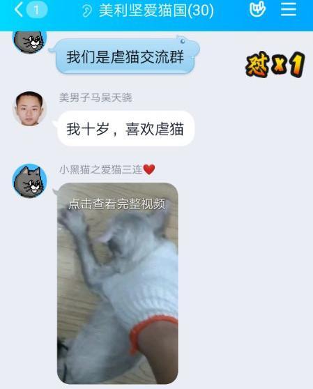 大学生虐猫被曝光后，虐猫群微博引流，有人称“最想虐婴儿”