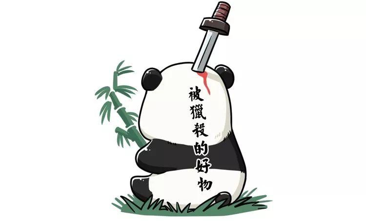 围观中国网红神兽羞羞视频，这是什么特殊爱好？