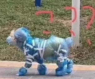 笑喷了!网友开发出的“硬核”防疫装备你遇到过几种?