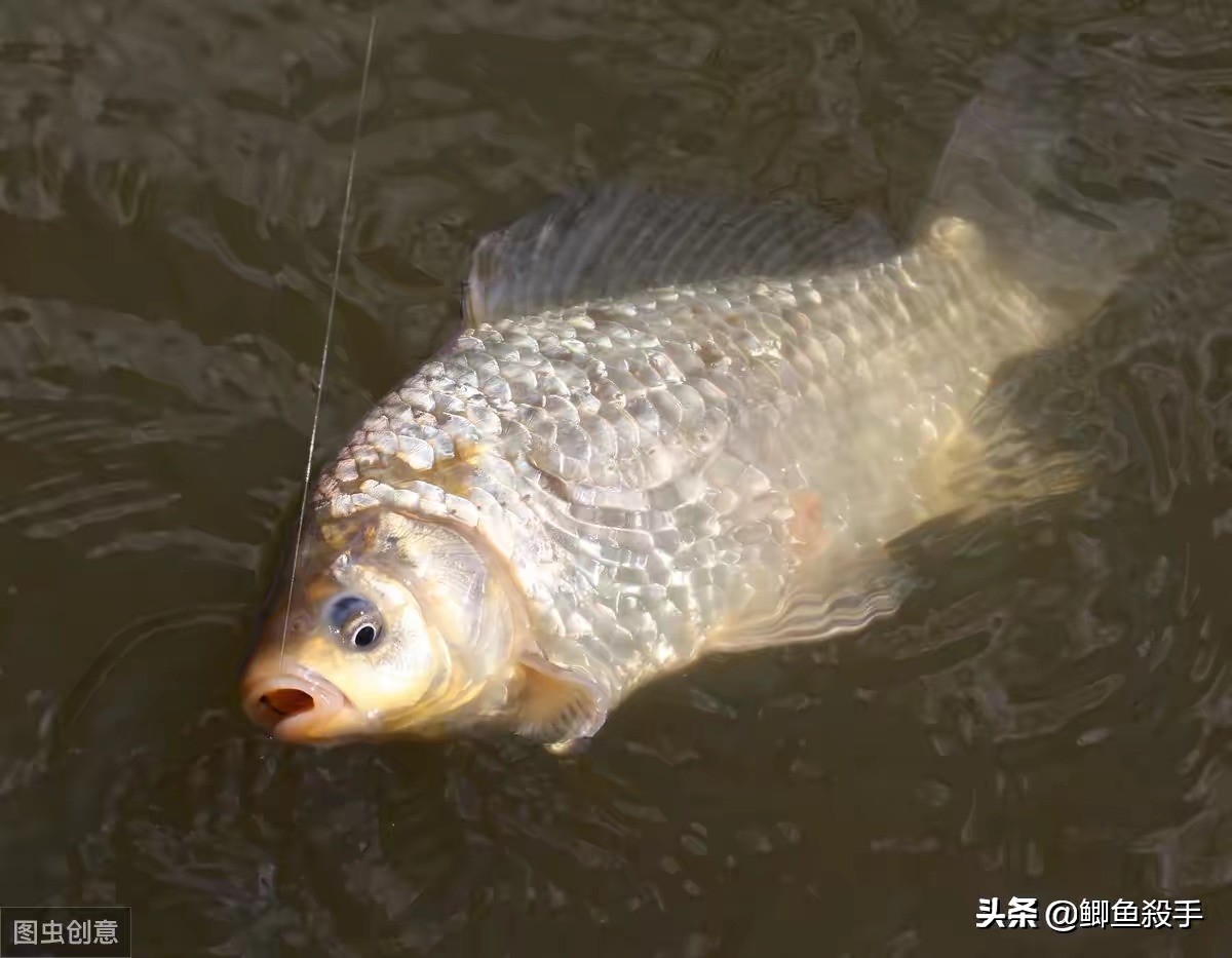 冬天钓鱼的方法技巧大全,冬季钓鱼方法与技巧大全图解