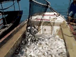 徐闻人的真实生活,徐闻县人风俗习惯