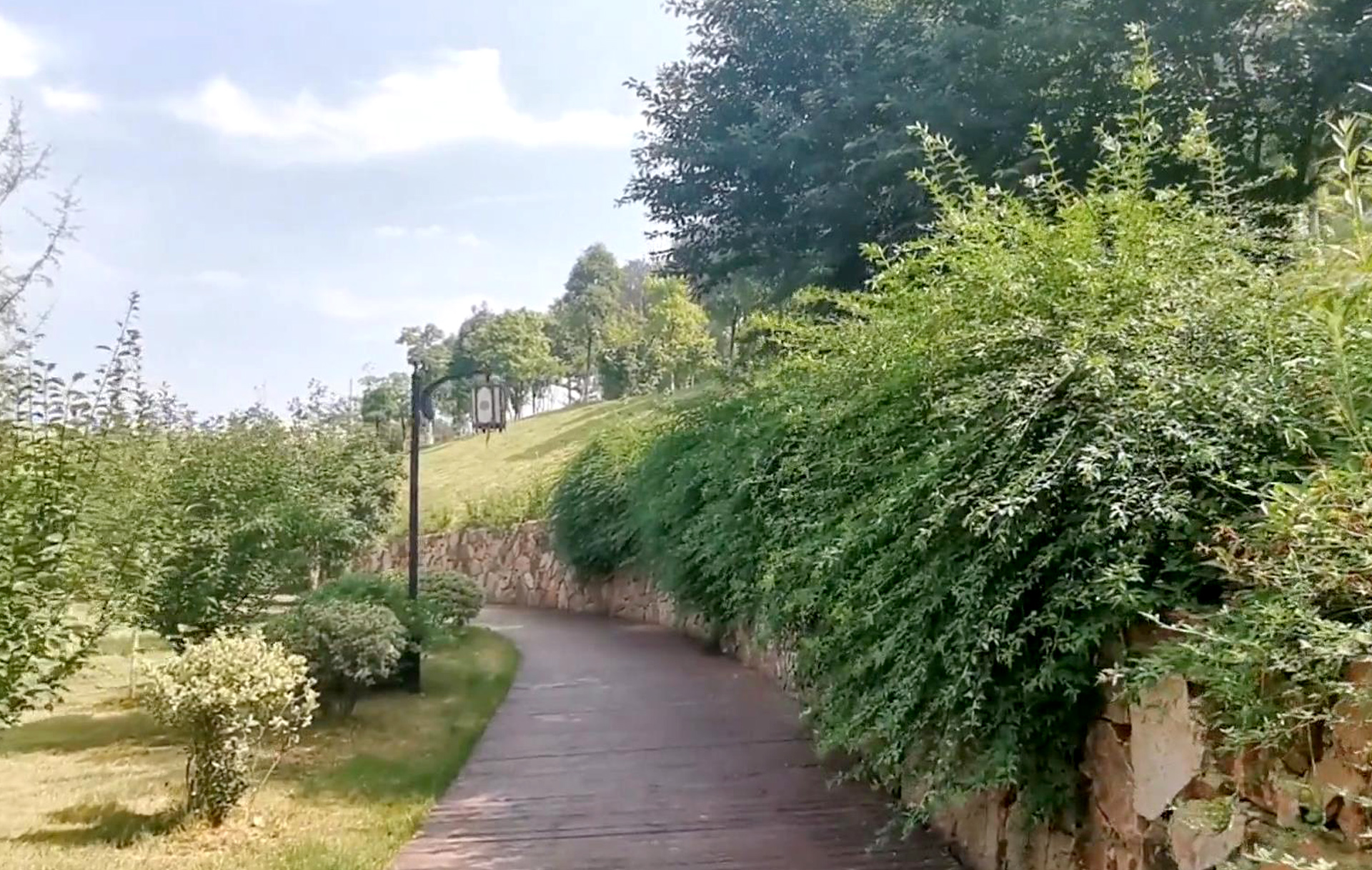 武汉兰亭公园风景图,兰亭公园武汉