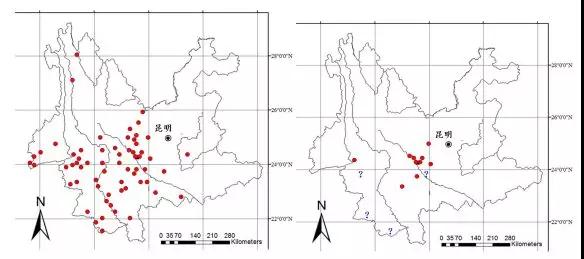 建水电站下游会断流吗 (建水电站对河水有影响吗)