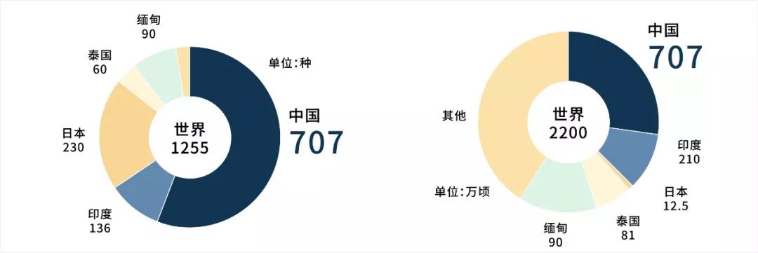 85后香港博士，为重庆人修了一座桥，上万村民请神仙加持