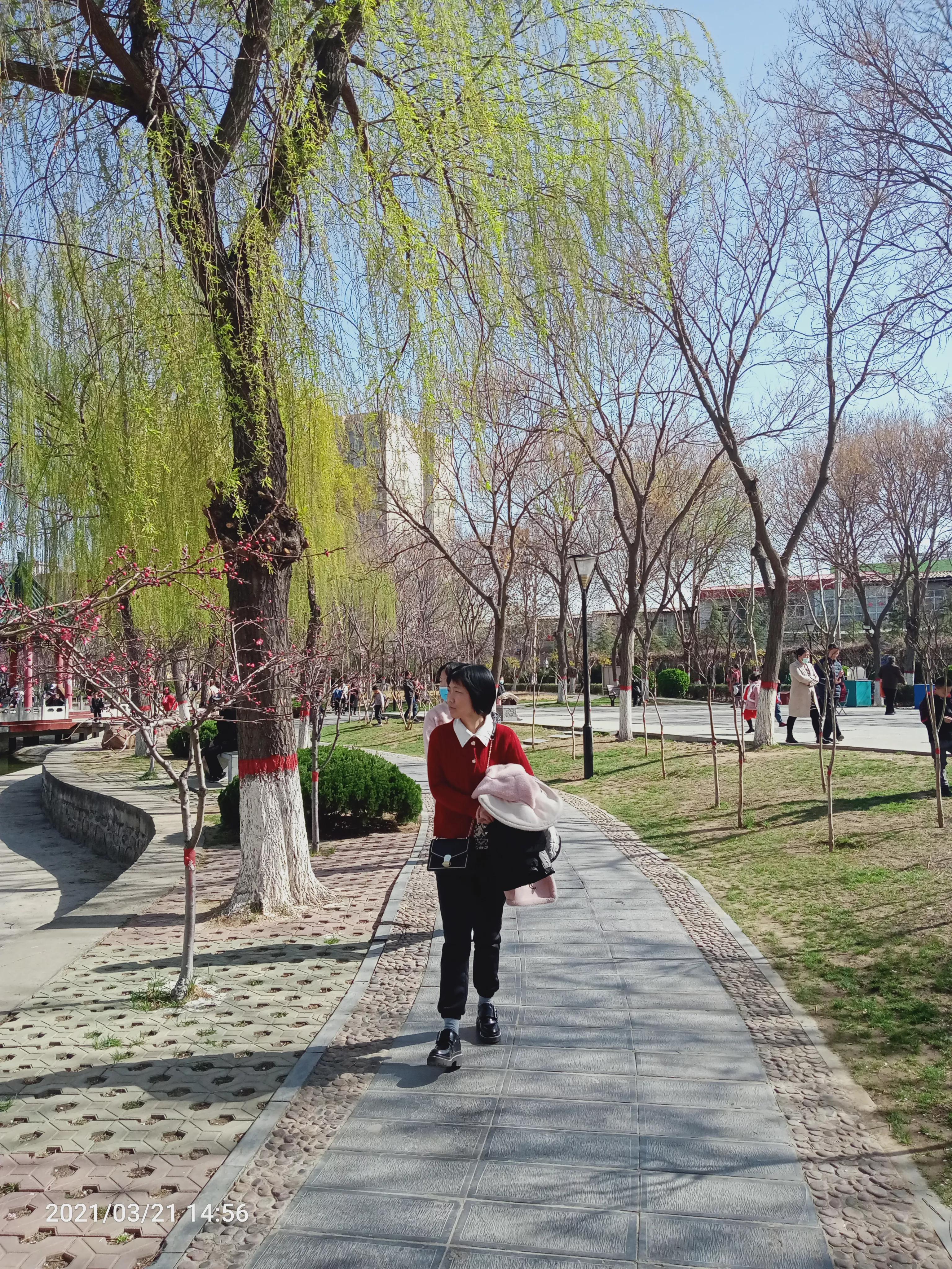 沙河美丽,沙河的天气