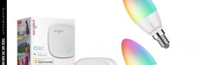 爱迪生发明电灯的艰难过程,爱迪生发明的第一代电灯