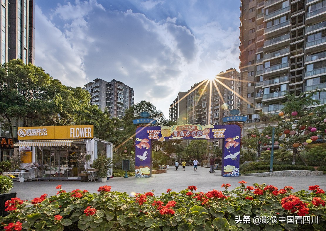 成都最美榕树街,成都鹭岛步行街商铺出售