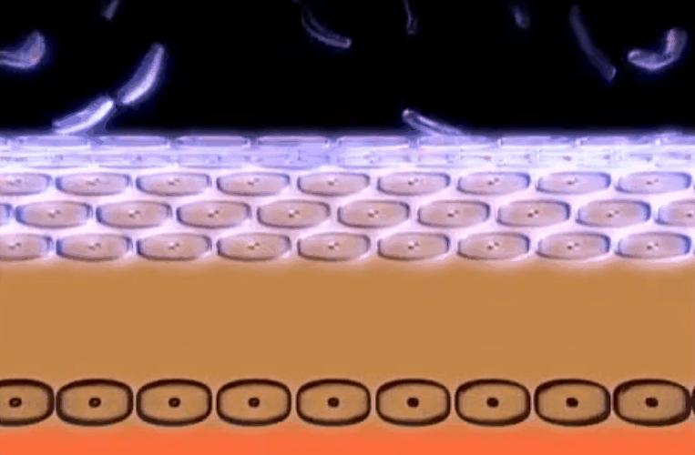 83天核事故救治纪录片,核灾83天死亡全记录