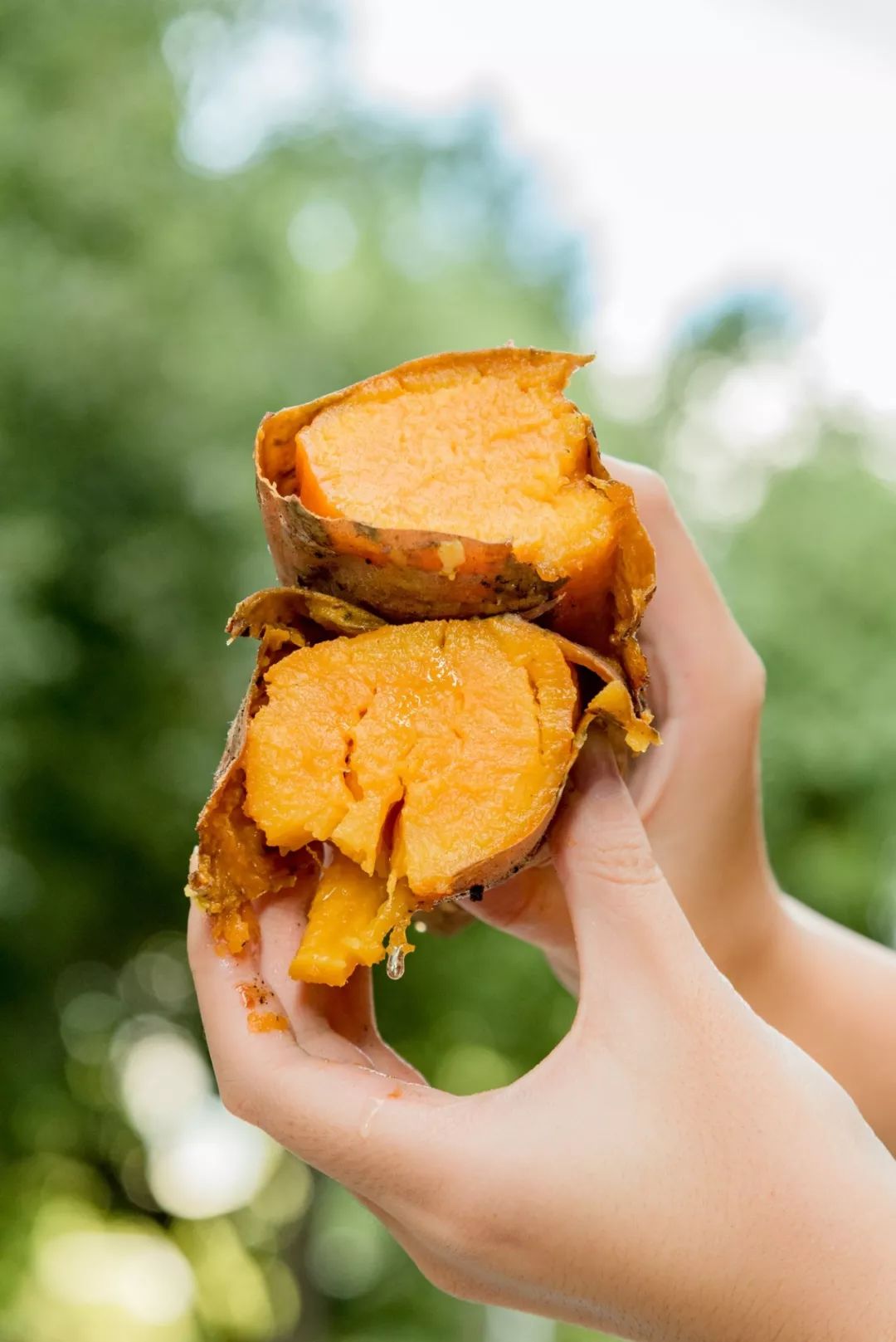 Foodie君亲测，专注19年现炒栗子的粒上皇，名不虚传！