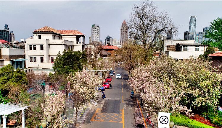 外交部全球推介天津,天津外交部全球推介活动