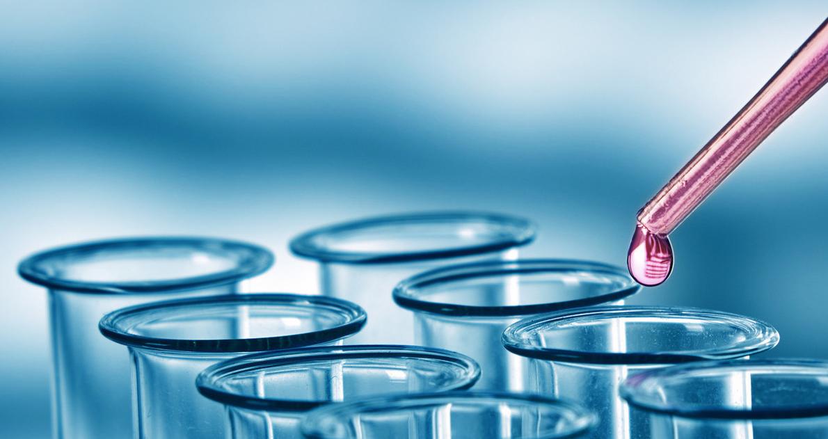 新版高中生物概念必背大全,高中生物必背概念汇总