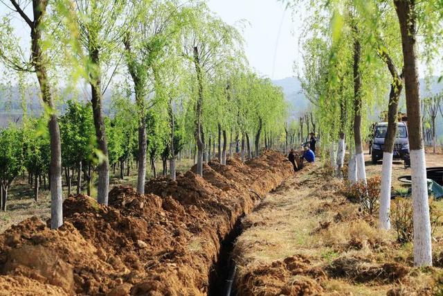 浠ユ按娑﹀煄,娑﹀煄娌抽亾娌荤悊宸ョ▼