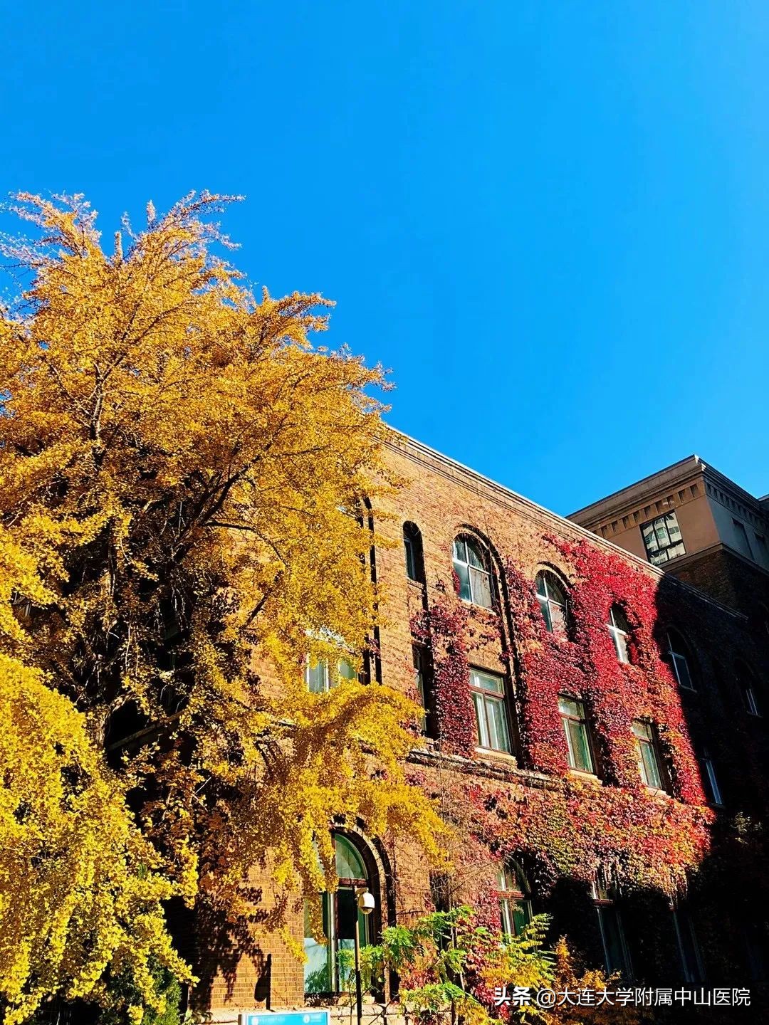 【博古通今】小编带你“逛”医院②