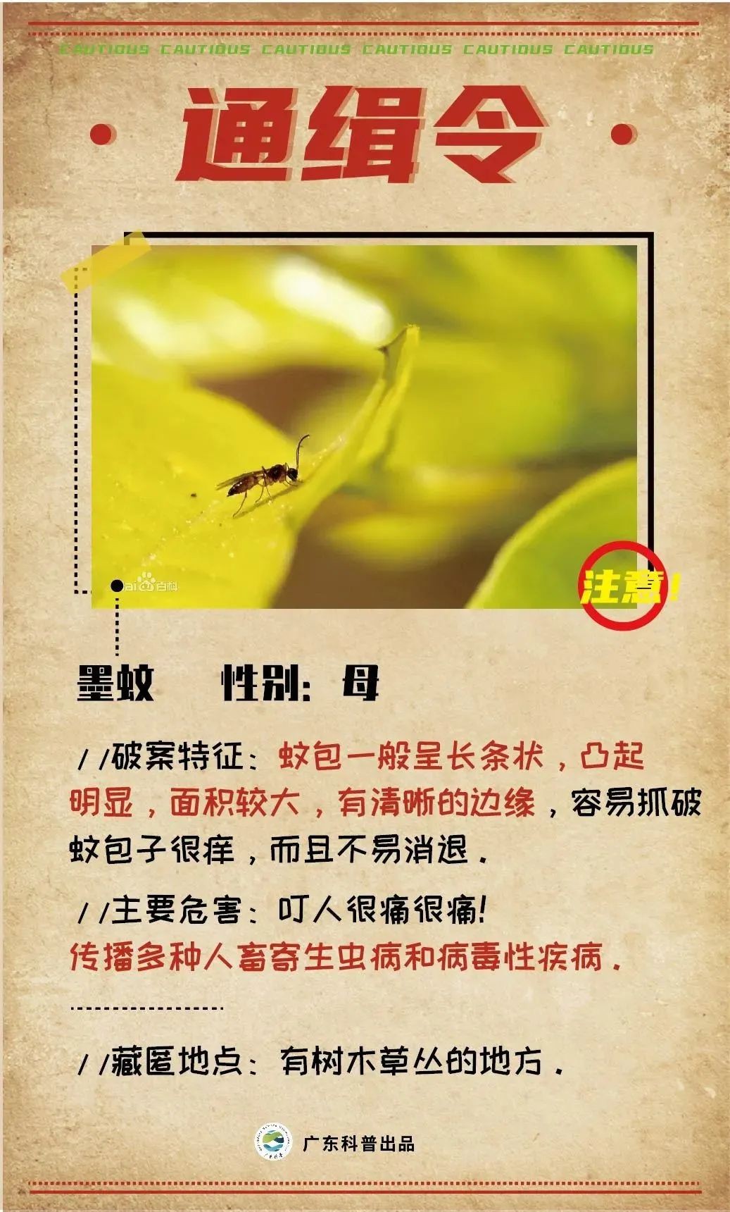 一年四季容易被蚊子咬是什么原因,被蚊子咬了正确打开方式