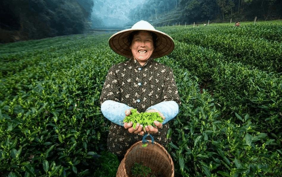 杭州高国飞公示,高国飞西湖区