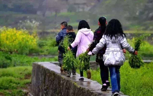 永寿美文|《小偷》文：山野农夫