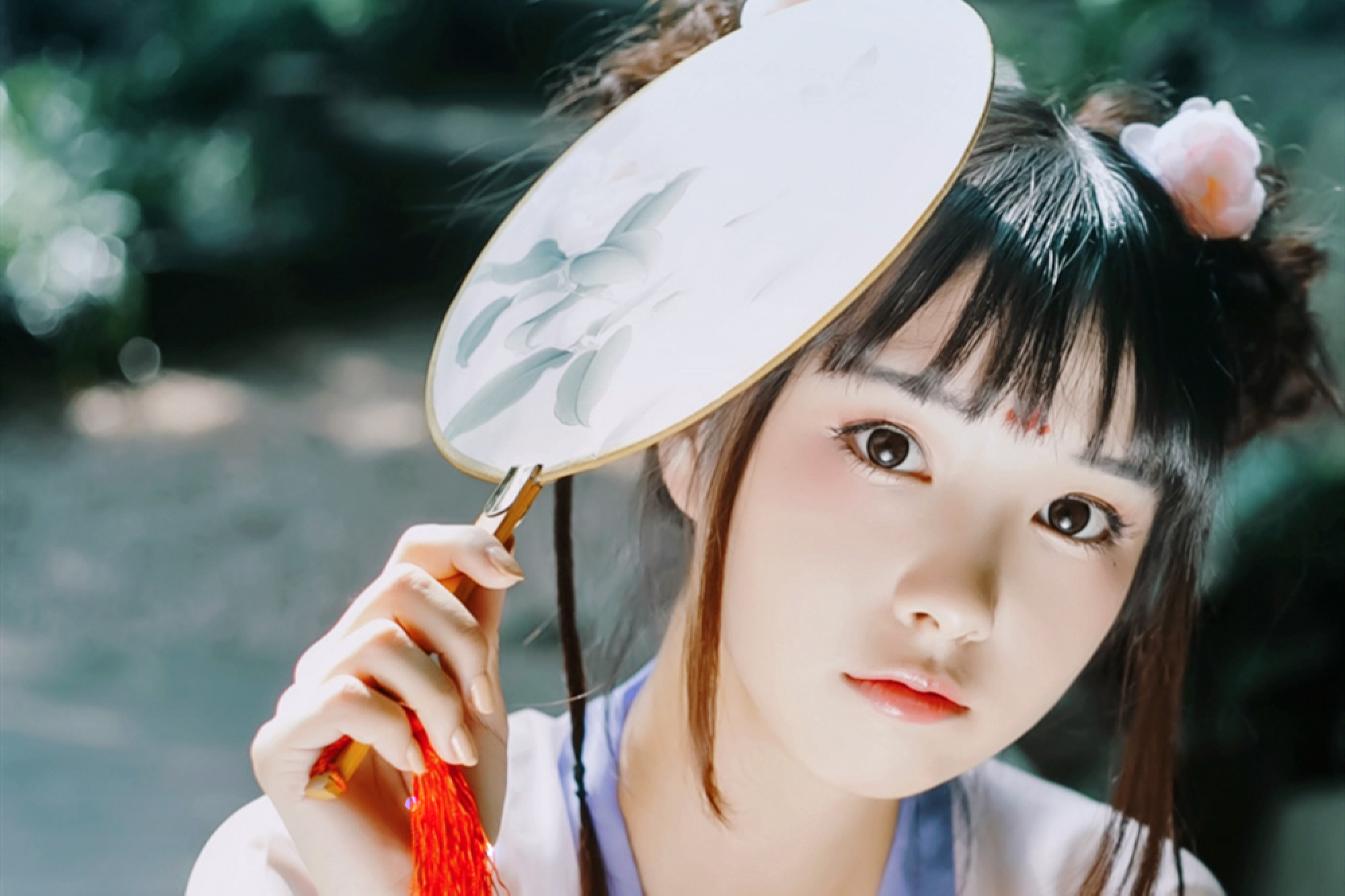 最大方最慷慨的星座,最大方的星座狮子座