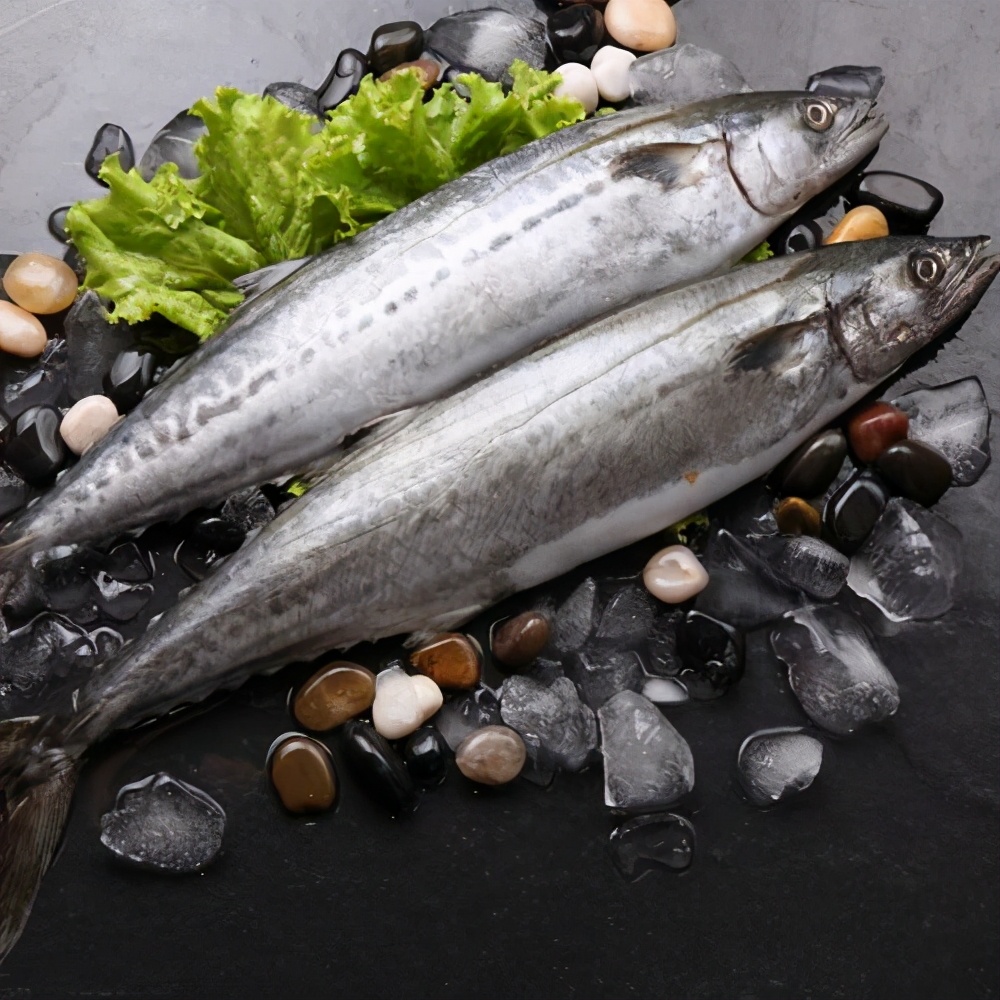 烟台最正宗的鲅鱼饺子,烟台鲅鱼饺子推荐