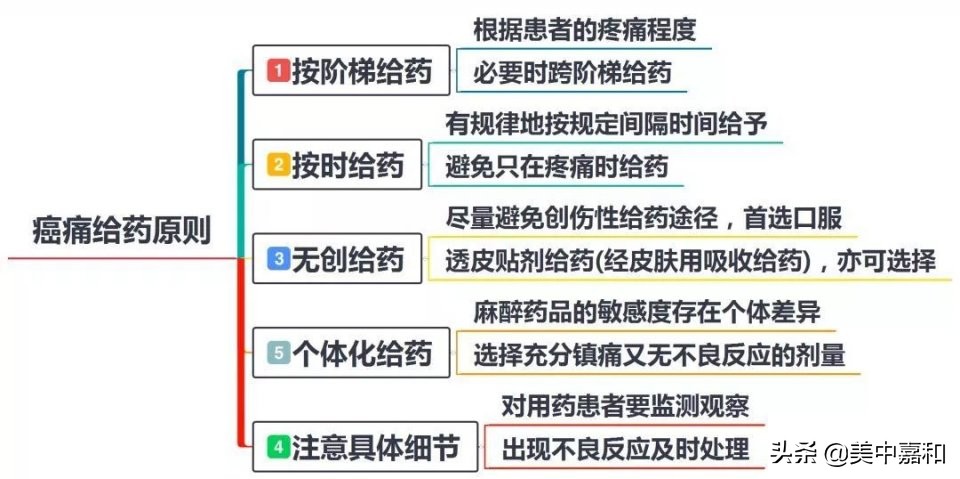 乳腺癌患者管理手册,乳腺癌诊疗规范2019