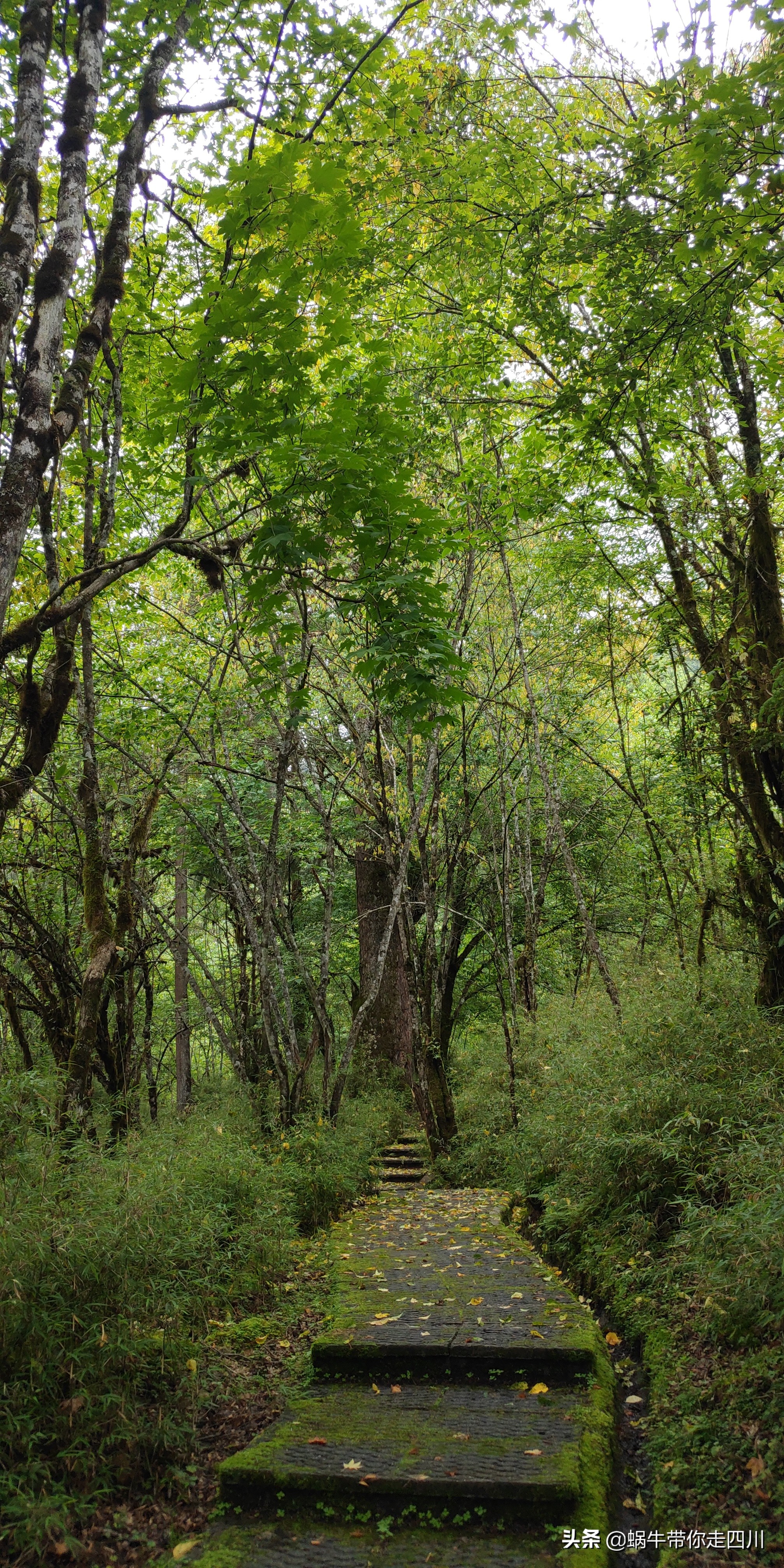 带小朋友出去看小动物,带小孩去海洋动物园