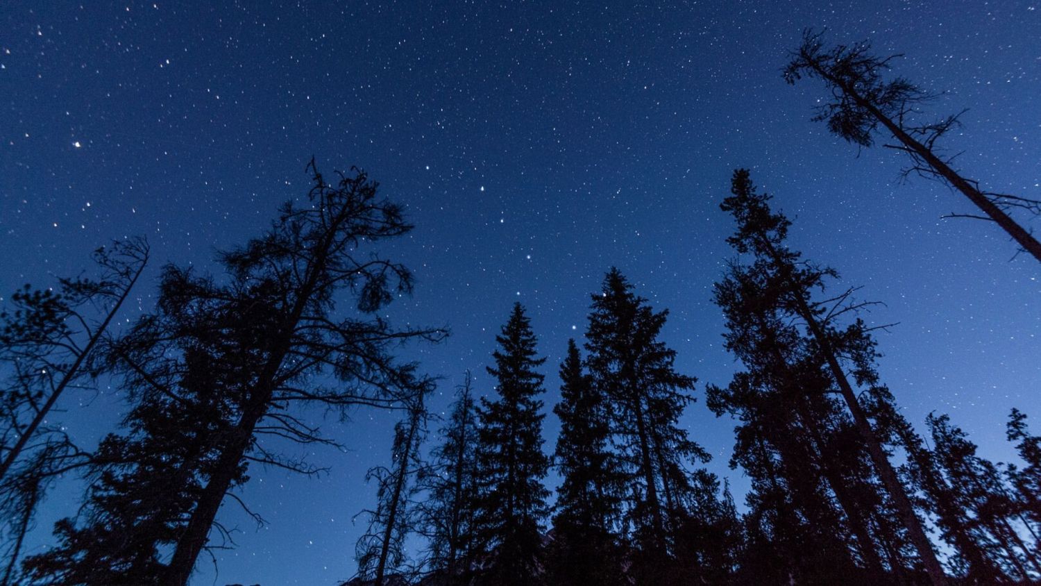 为什么会有七日节律,七日节律是怎么来的