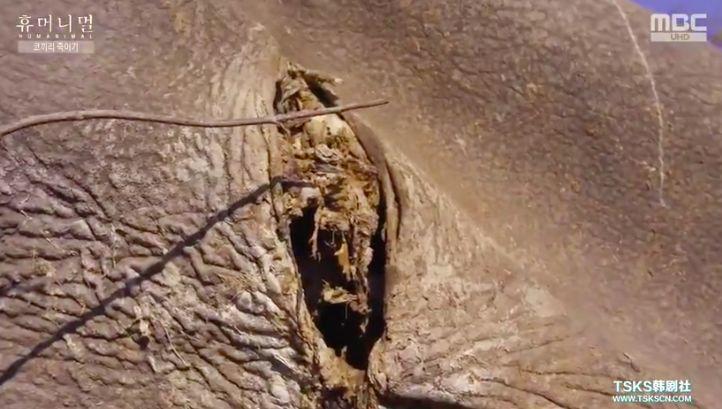 9.4分韩国催泪电视剧,韩国十部9.5评分催泪电影