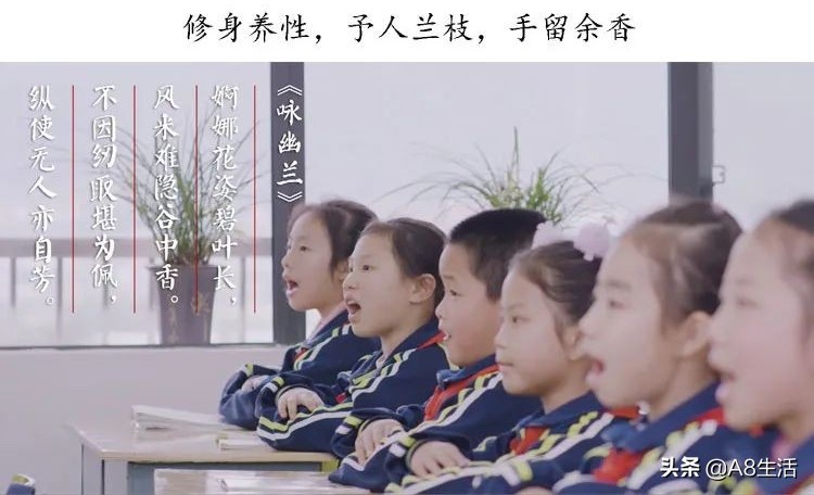 长寿梅蕙兰怎么种植,蕙兰老八种兰花哪一种最好