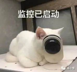 如何逼自己努力学习初中,如何靠一个暑假提升自己