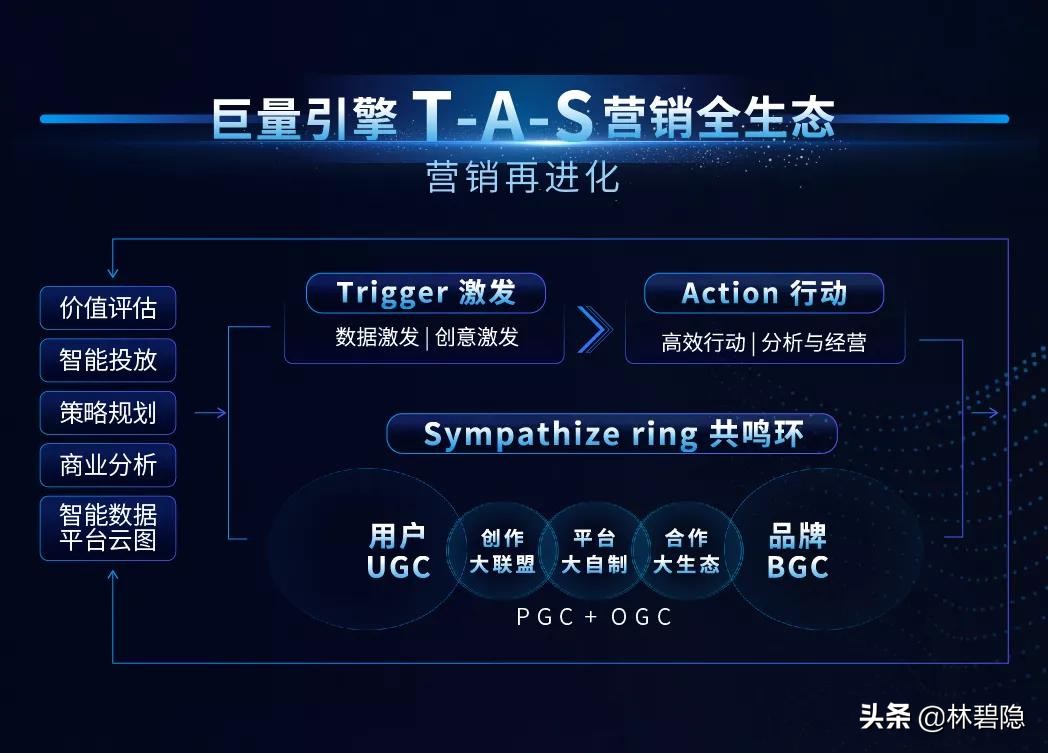 互联网广告公司垂直领域排行榜,互联网公司的广告收入怎么那么多