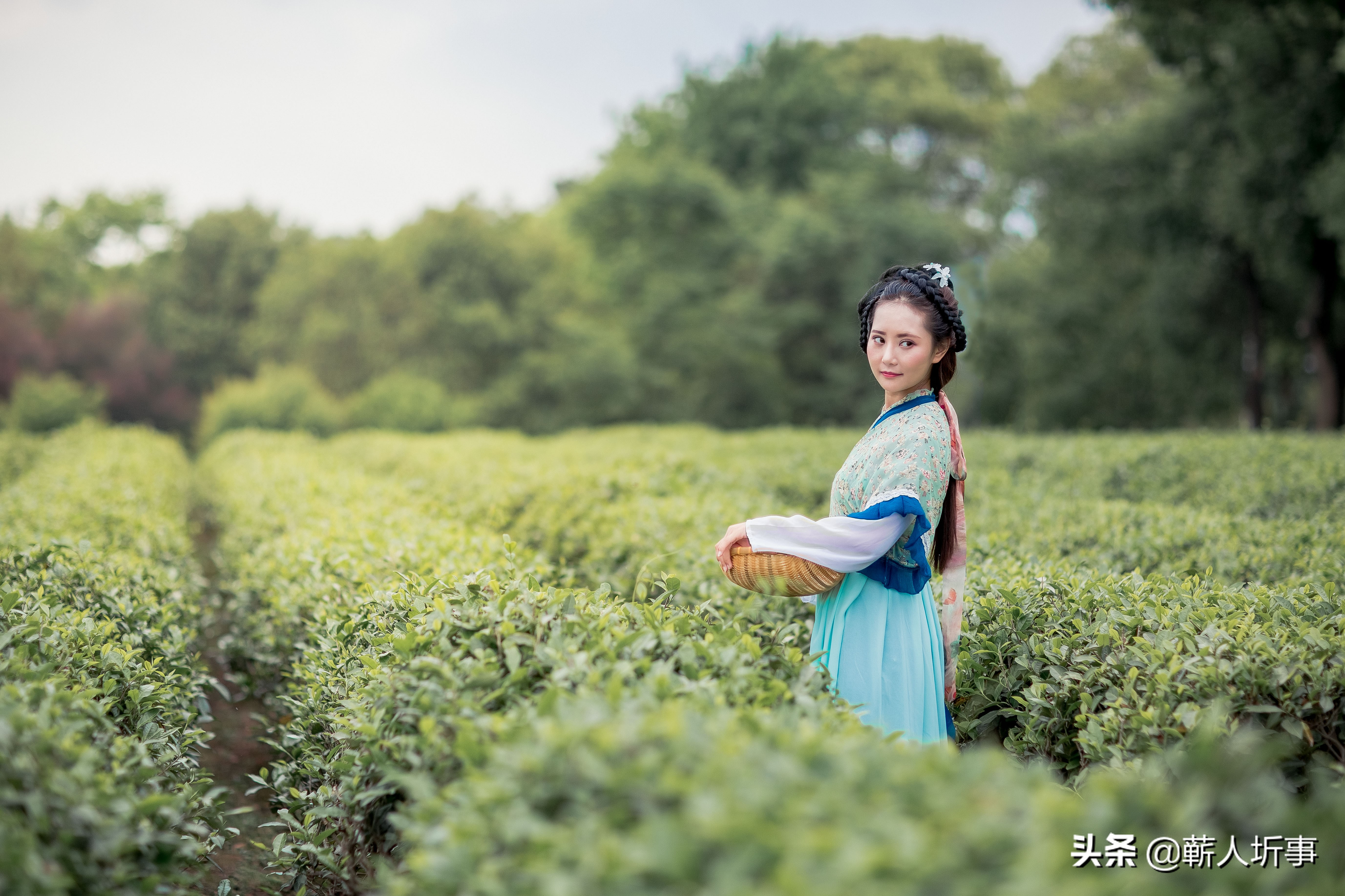 陈如诗词丨卷叶秋风瘦,吹开月上黄