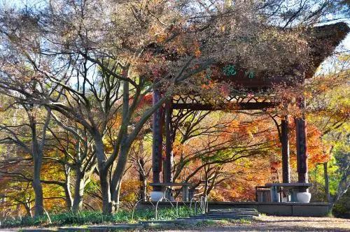 杭州旅游十大攻略必去景点有哪些,杭州旅游攻略必去十个景点