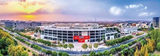 浦东王牌,为什么说浦东是王牌