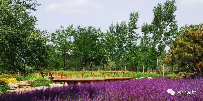 亲子游玩地点推荐北京亦庄,亦庄周末带娃好去处