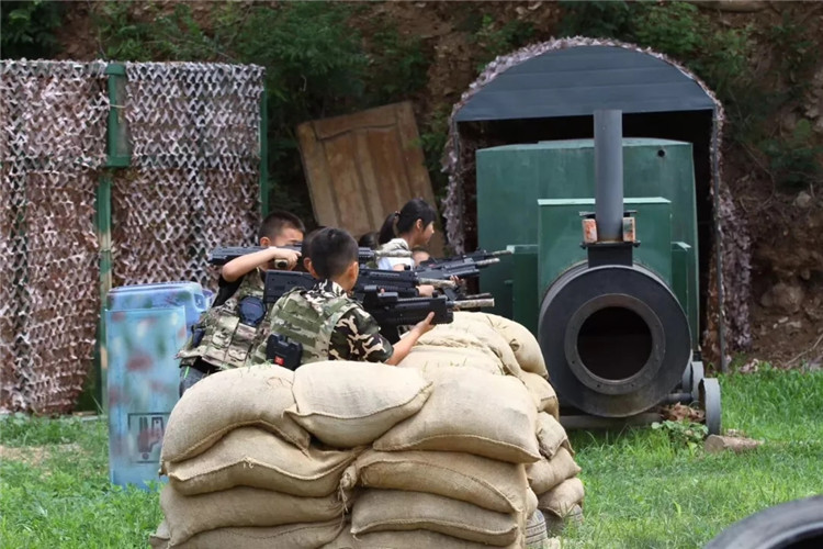 吃鸡游戏直播刺激战场真人版,刺激战场真人版大吉大利今晚吃鸡