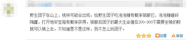 迷你世界怎么样才能驯服团子,迷你世界怎样驯服团子两种方法