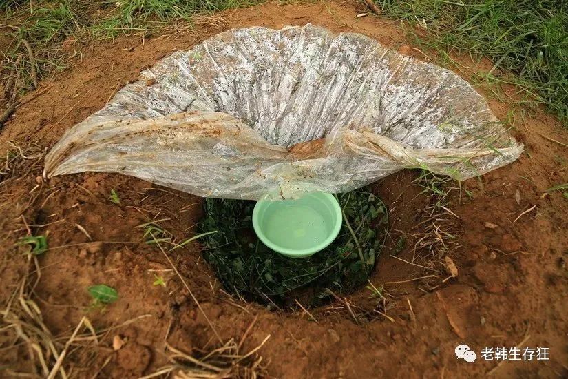 沙漠求生取水技巧,生存狂逃生技巧