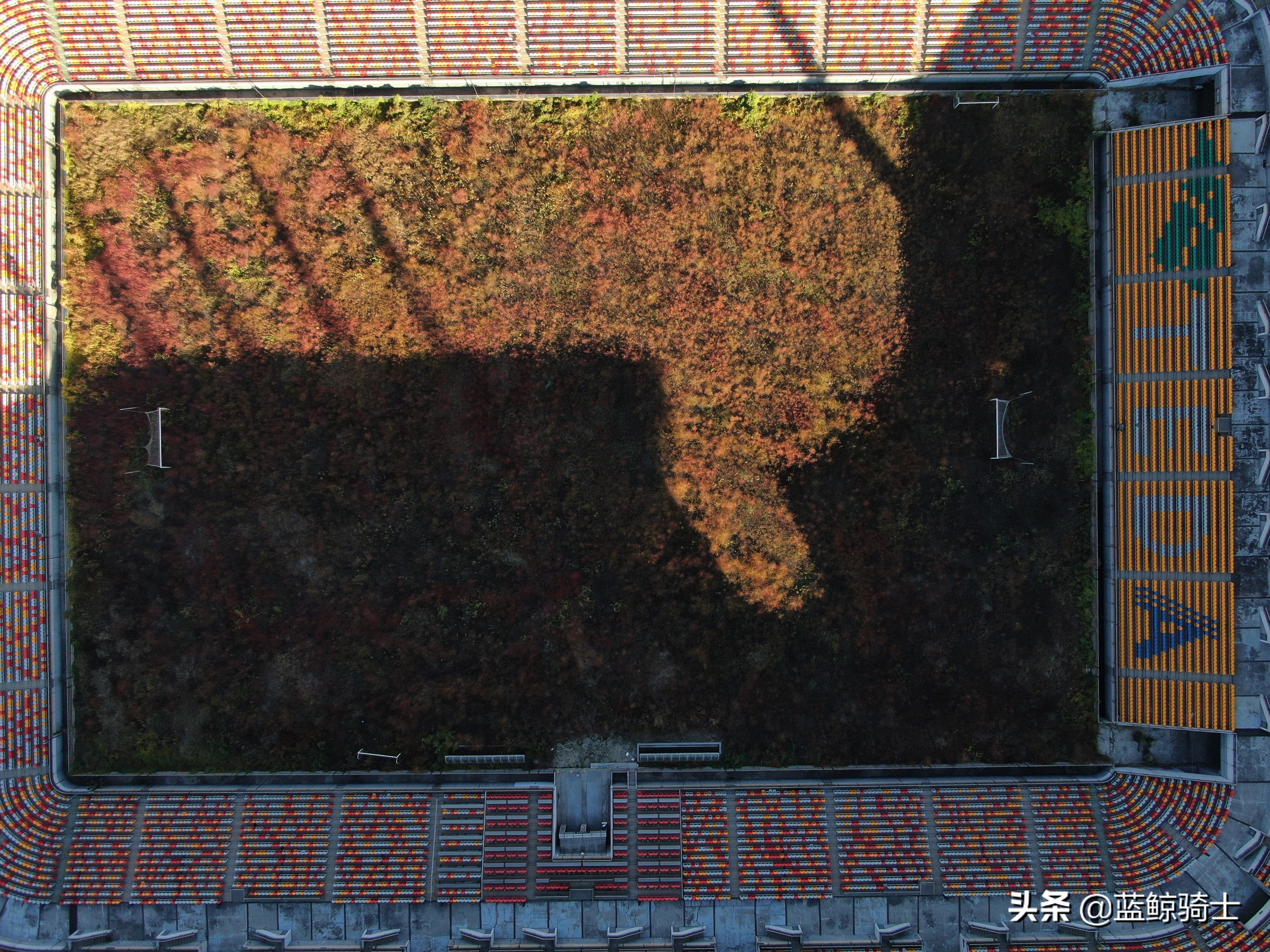 <html>
<head><title>502BadGateway</title></head>
<body>
<center><h1>502BadGateway</h1></center>
<hr><center>nginx</center>
</body>
</html>
<!--apaddingtodisableMSIEandChromefriendlyerrorpage-->
<!--apaddingtodisableMSIEandChromefriendlyerrorpage-->
<!--apaddingtodisableMSIEandChromefriendlyerrorpage-->
<!--apaddingtodisableMSIEandChromefriendlyerrorpage-->
<!--apaddingtodisableMSIEandChromefriendlyerrorpage-->
<!--apaddingtodisableMSIEandChromefriendlyerrorpage-->
