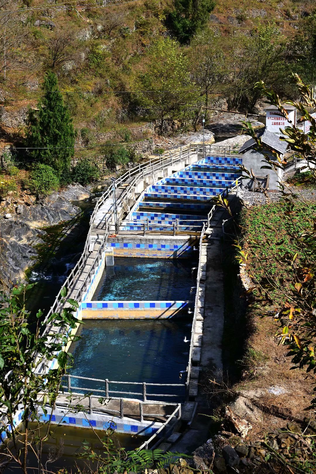 四川山清水秀的村庄,四川十大最美丽乡村