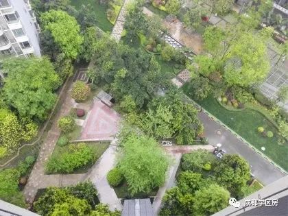 天府新区好的学区房有哪些,天府新区小学排名及周边楼盘