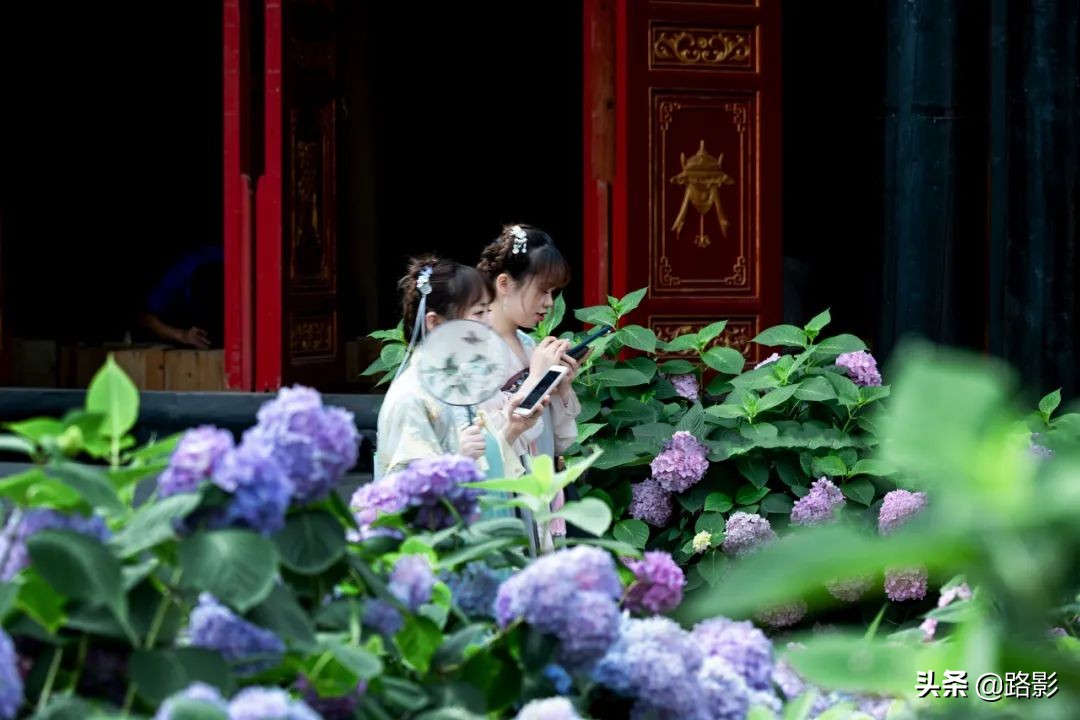 花重锦官城,花重锦官城长安