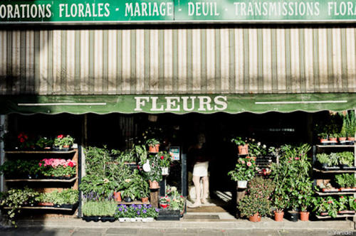 零基础开花店如何快速盈利,花店整合的商业模式